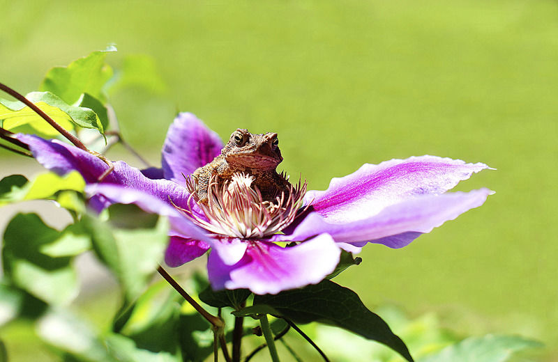 Four finalists named in Register-Herald Amateur Photo Contest